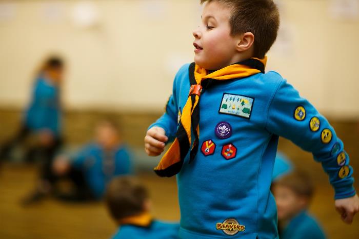 Cub Badge Camp 